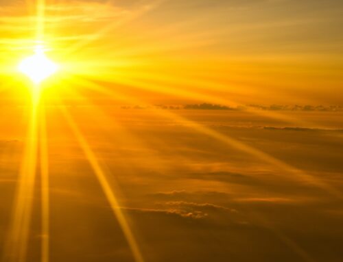 Le conquiste dell’audacia regnano in una luce senz’ombra.